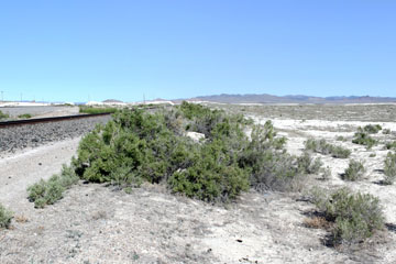 Umbria Junction, Nevada