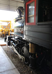 Satsop Railroad #1, Mineral