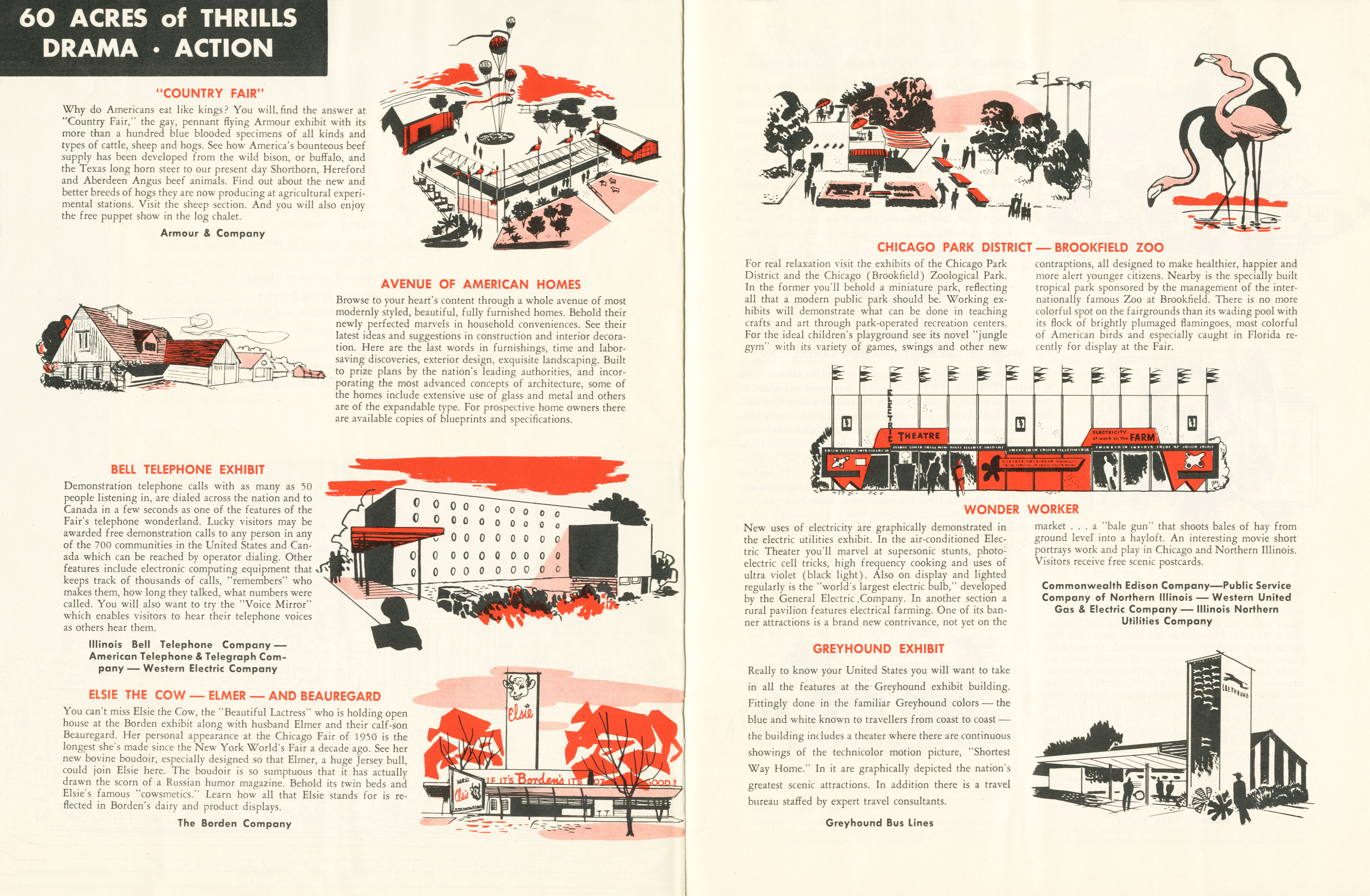 The Chicago Fair of 1950