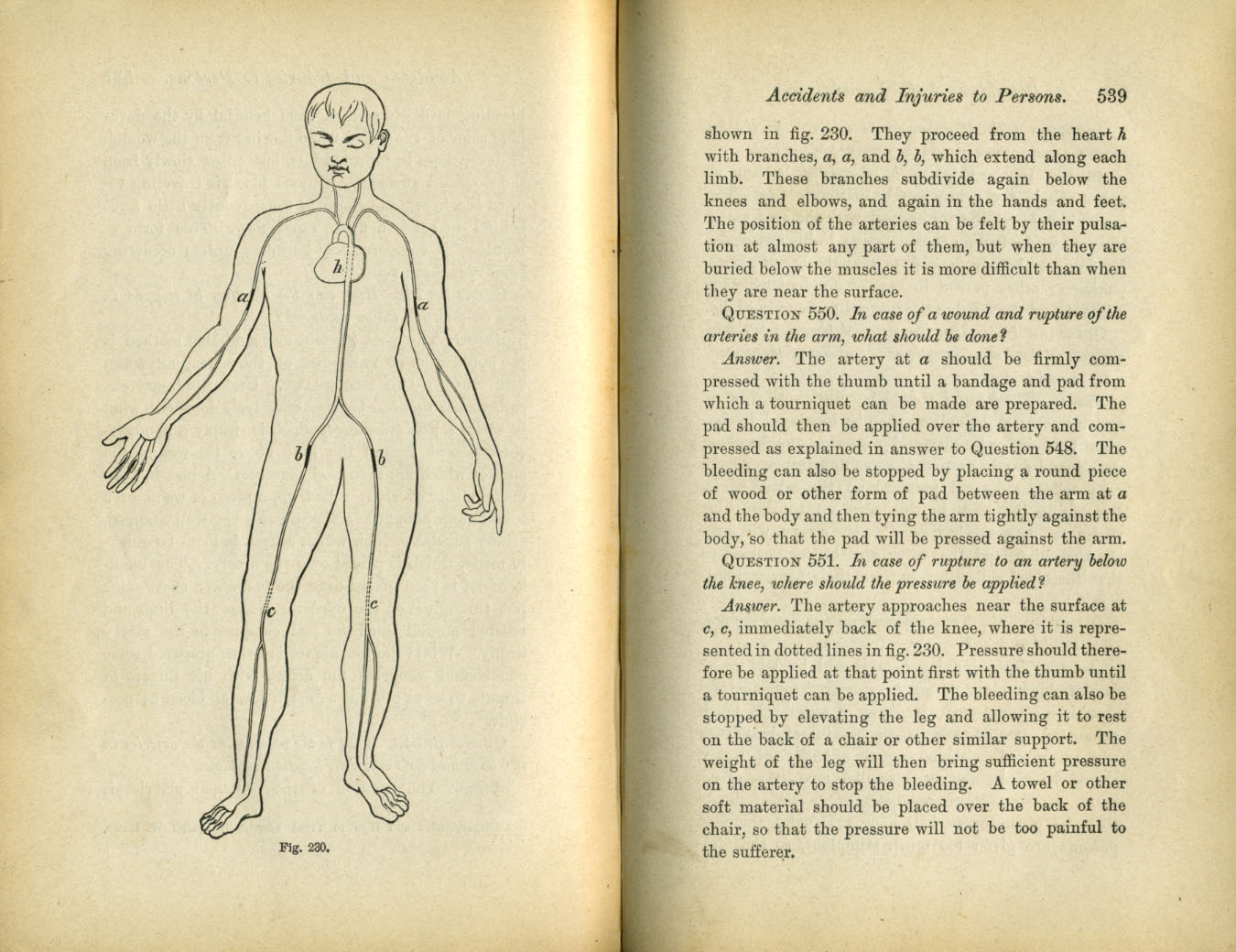 Catechism of the Locomotive