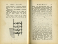 Catechism of the Locomotive