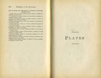 Catechism of the Locomotive