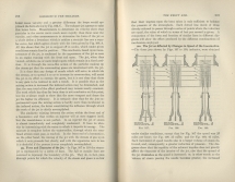 Locomotive Performance