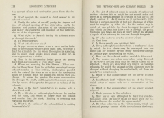 Locomotive Catechism