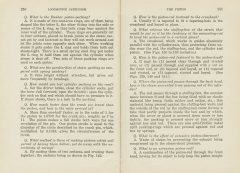 Locomotive Catechism