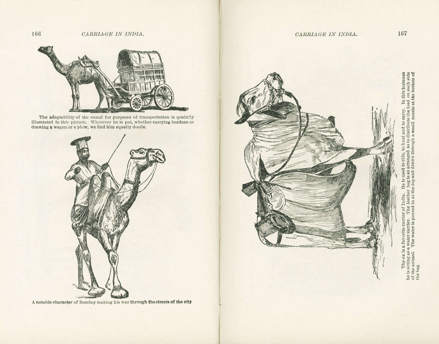 Science of Railways Vol XI