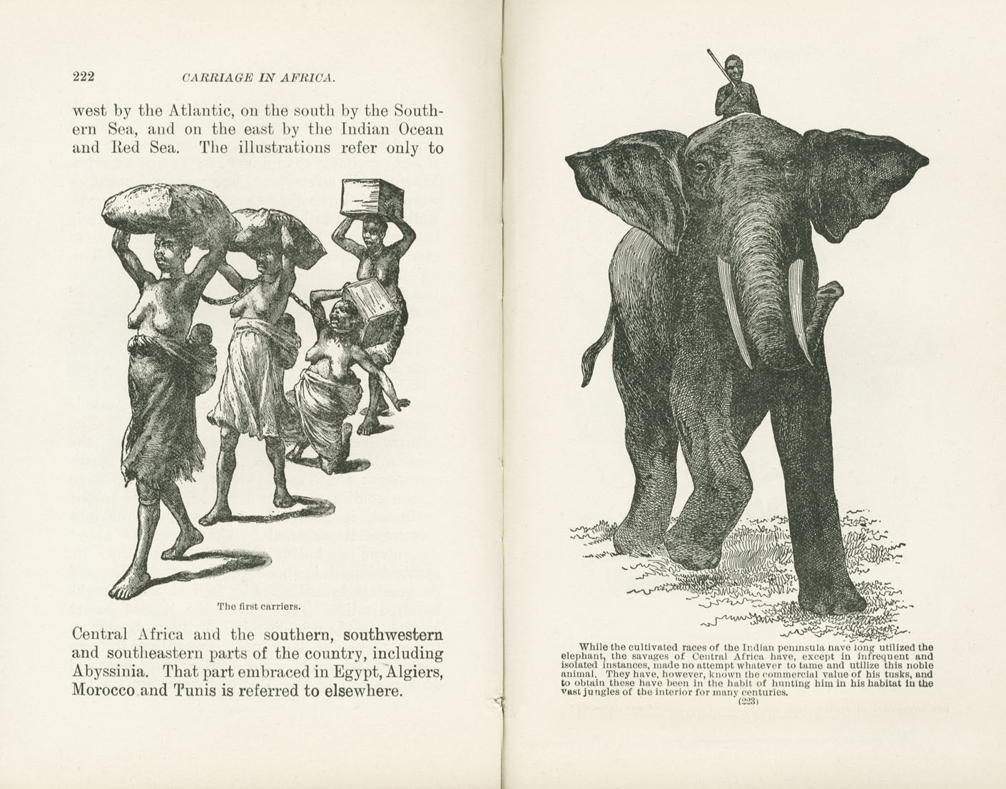 Science of Railways Vol XI