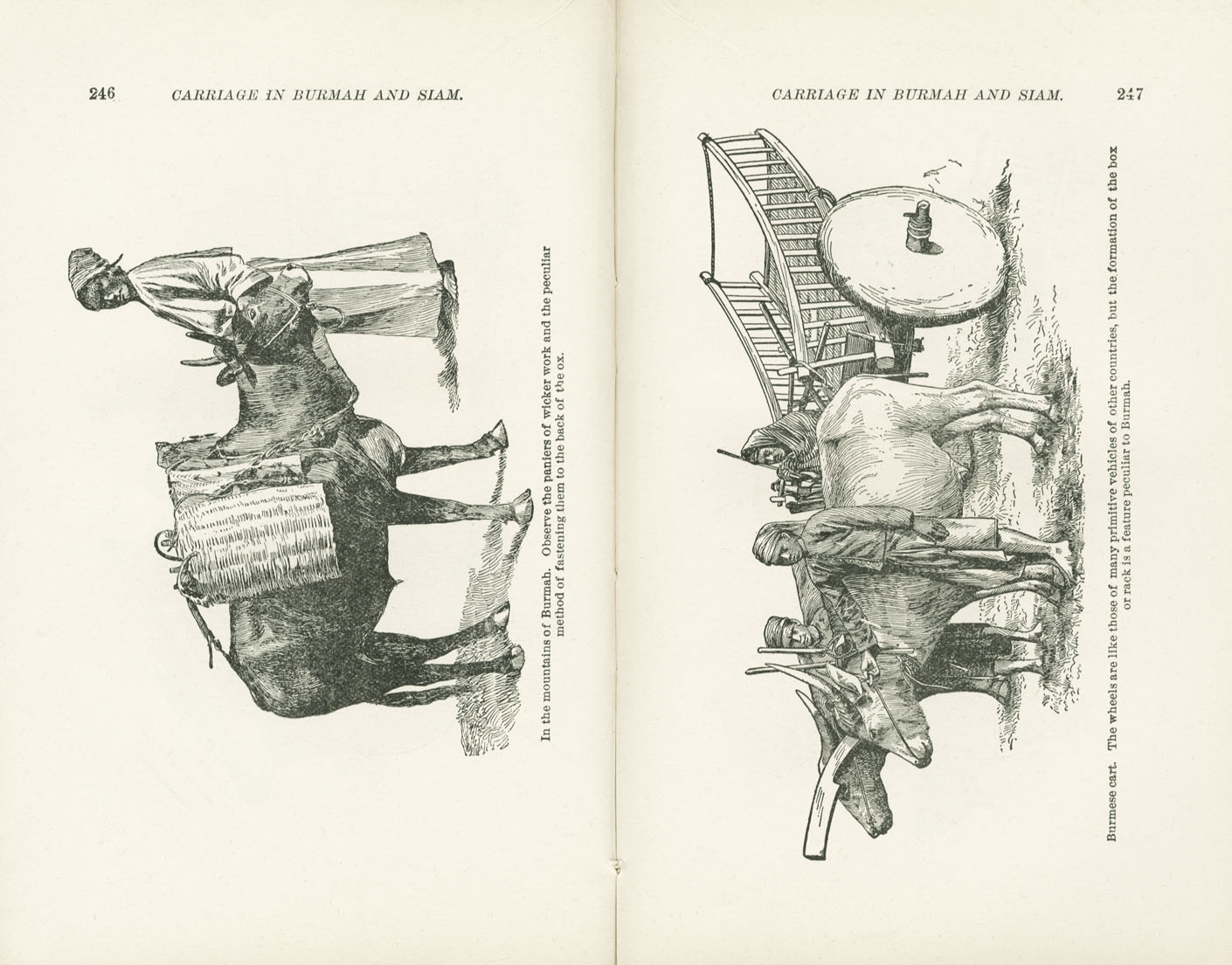 Science of Railways Vol XI