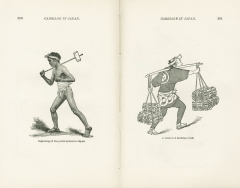 Science of Railways Vol XI