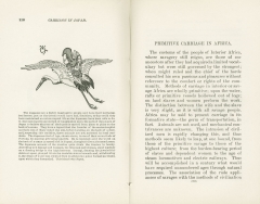 Science of Railways Vol XI