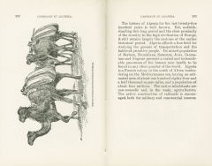 Science of Railways Vol XI