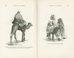 Science of Railways Vol XI