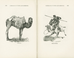 Science of Railways Vol XI