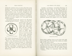 Science of Railways Vol IV