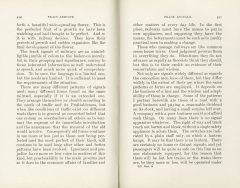 Science of Railways Vol IV