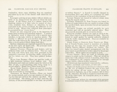 Science of Railways Vol V