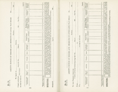 Science of Railways Vol VI