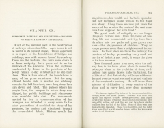 Science of Railways Vol VII