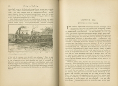 Daring and Suffering