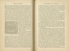 Daring and Suffering