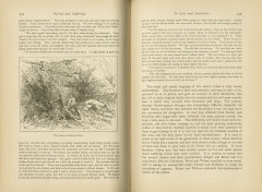 Daring and Suffering