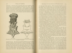 Daring and Suffering