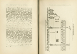 Practical Railroading Volume V