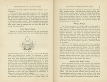 Development of the Locomotive Engine