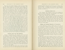 Development of the Locomotive Engine