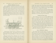 Development of the Locomotive Engine