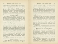 Development of the Locomotive Engine