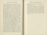 Locomotive Engine Running