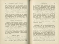 Locomotive Engine Running