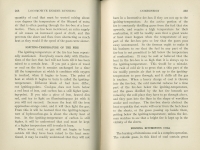 Locomotive Engine Running