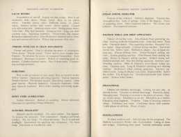 Twentieth Century Locomotives