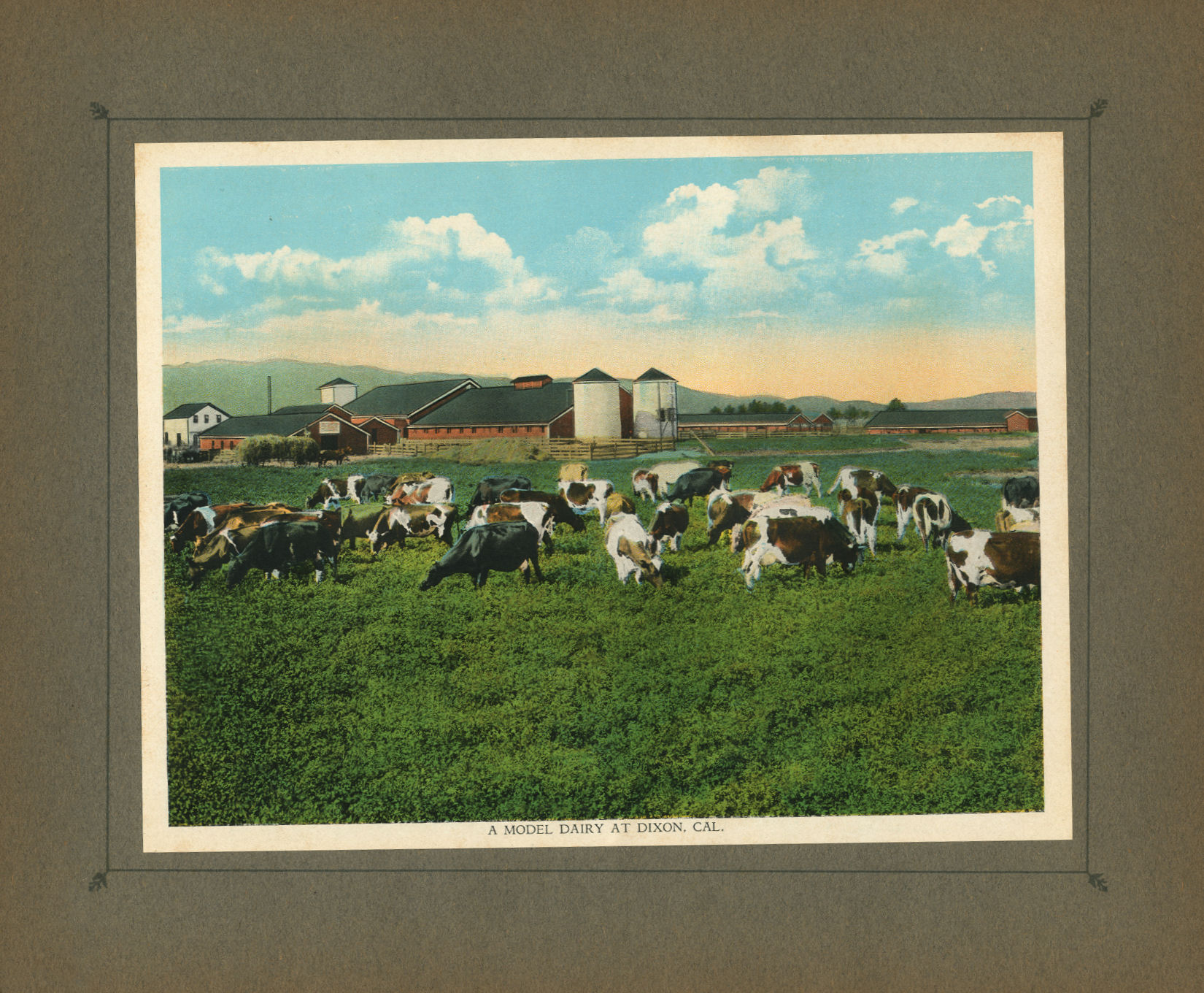 The Overland Trail