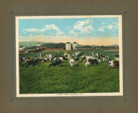 The Overland Trail