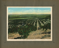 The Overland Trail