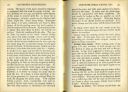 Modern Locomotive Engineering