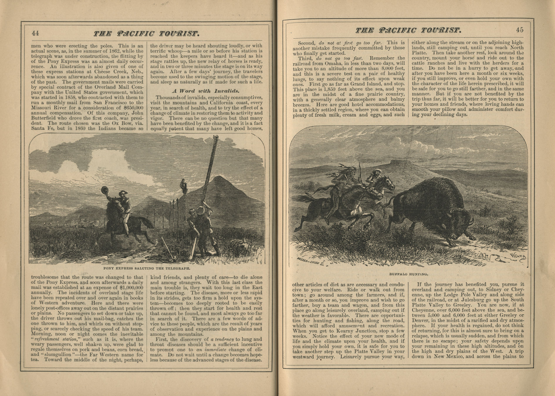 The Pacific Tourist