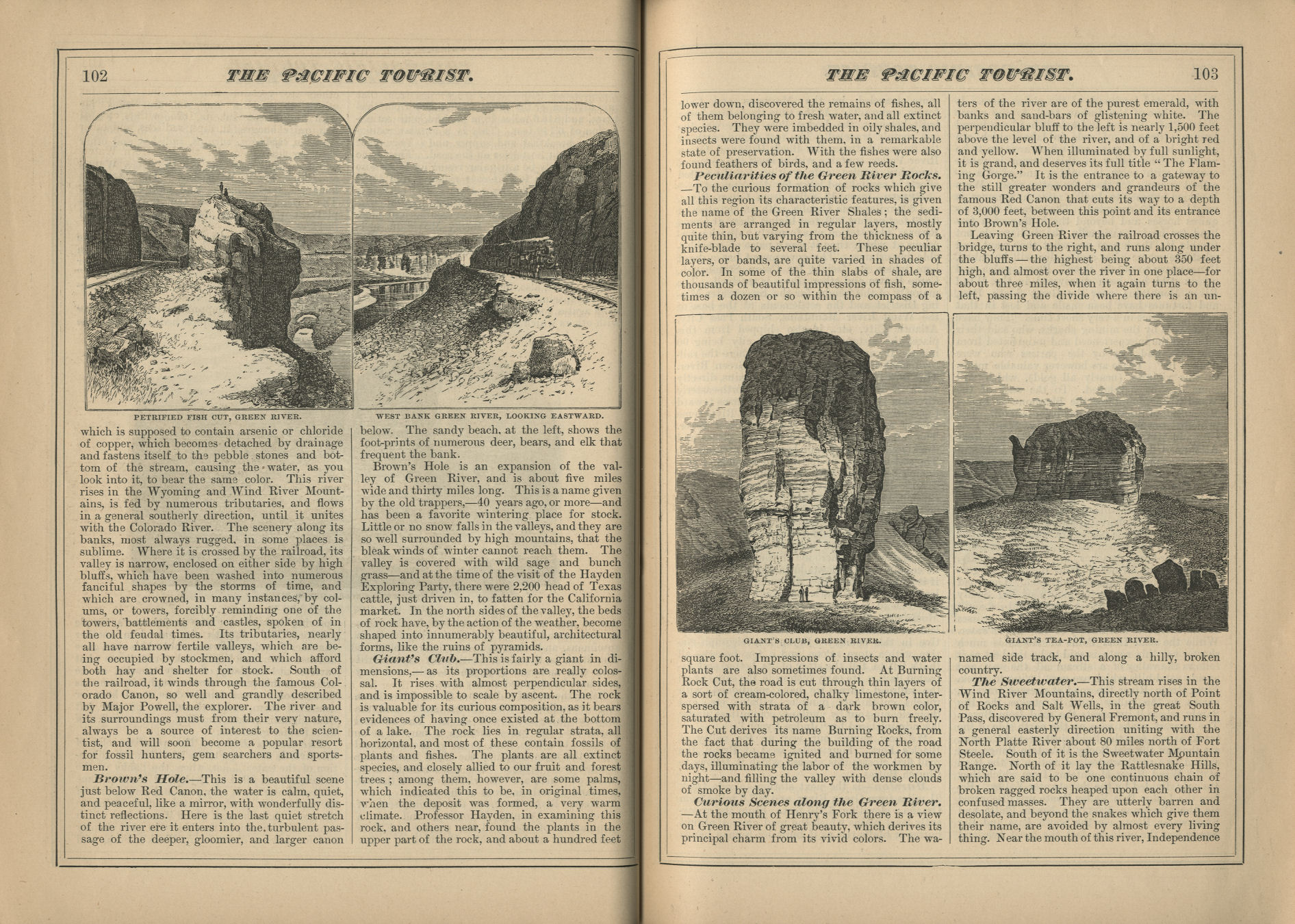 The Pacific Tourist