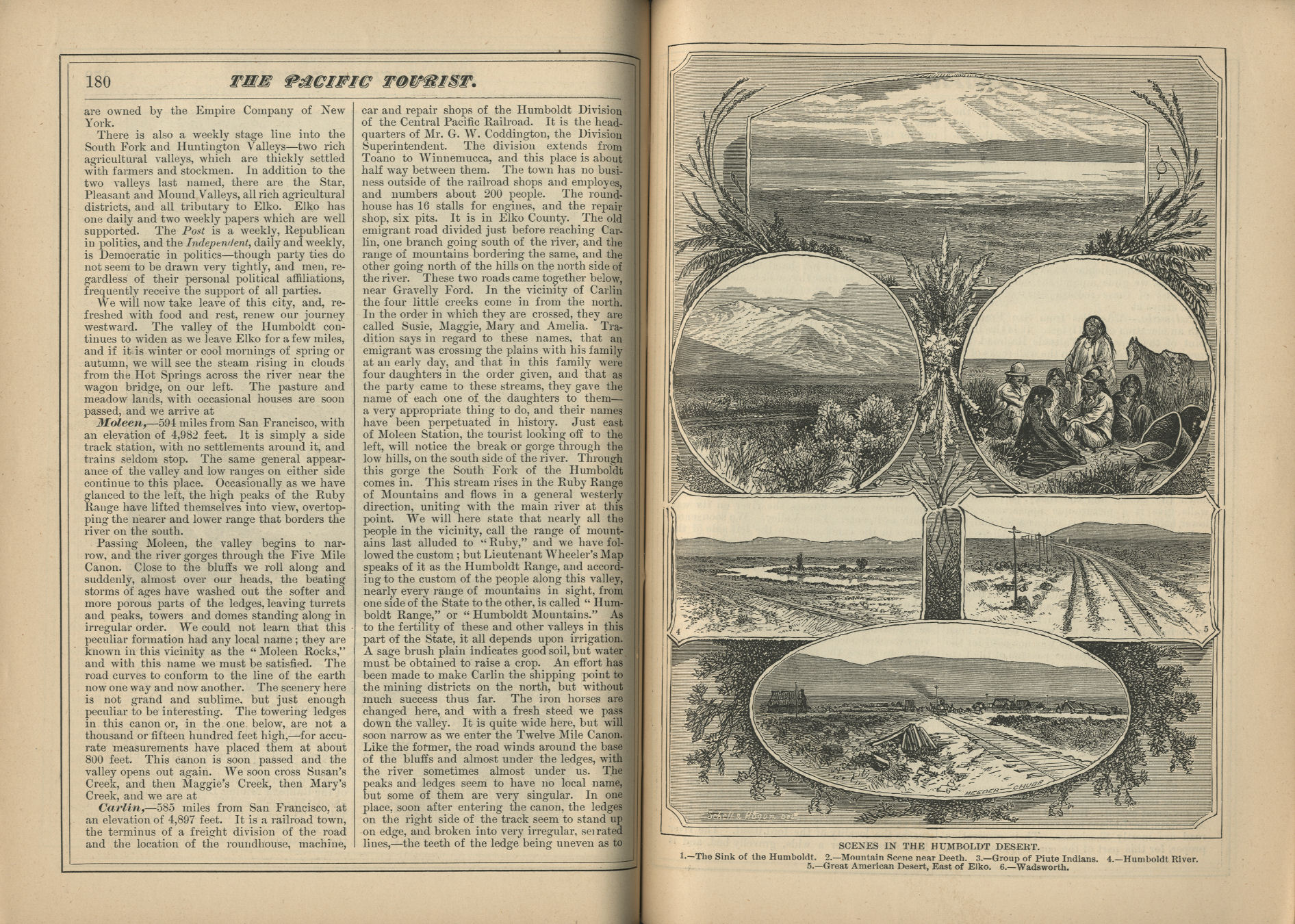 The Pacific Tourist