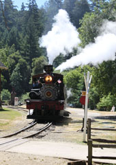 Roaring Camp & Big Trees Railroad #1, Felton