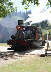 Roaring Camp & Big Trees Railroad #1, Felton