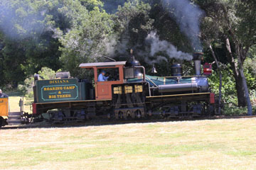 Roaring Camp & Big Trees Railroad #1, Felton
