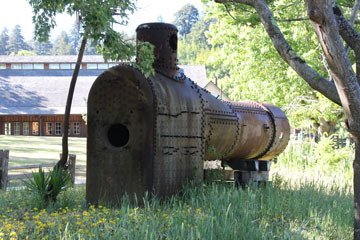 Roaring Camp & Big Trees Railroad #1, Felton