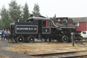 Bluestone Mining & Smelting #1, Willits