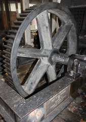 Bear Harbor Lumber Co. #1, Humboldt State Park