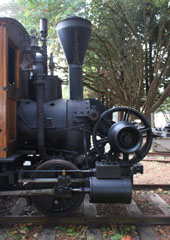 Elk River Mill & Lumber Co. #1, Humboldt State Park