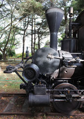 Elk River Mill & Lumber Co. #1, Humboldt State Park